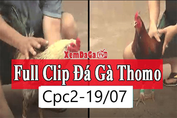 Xem đá gà Campuchia 2242019 – Trận đấu đỉnh cao không thể bỏ lỡ