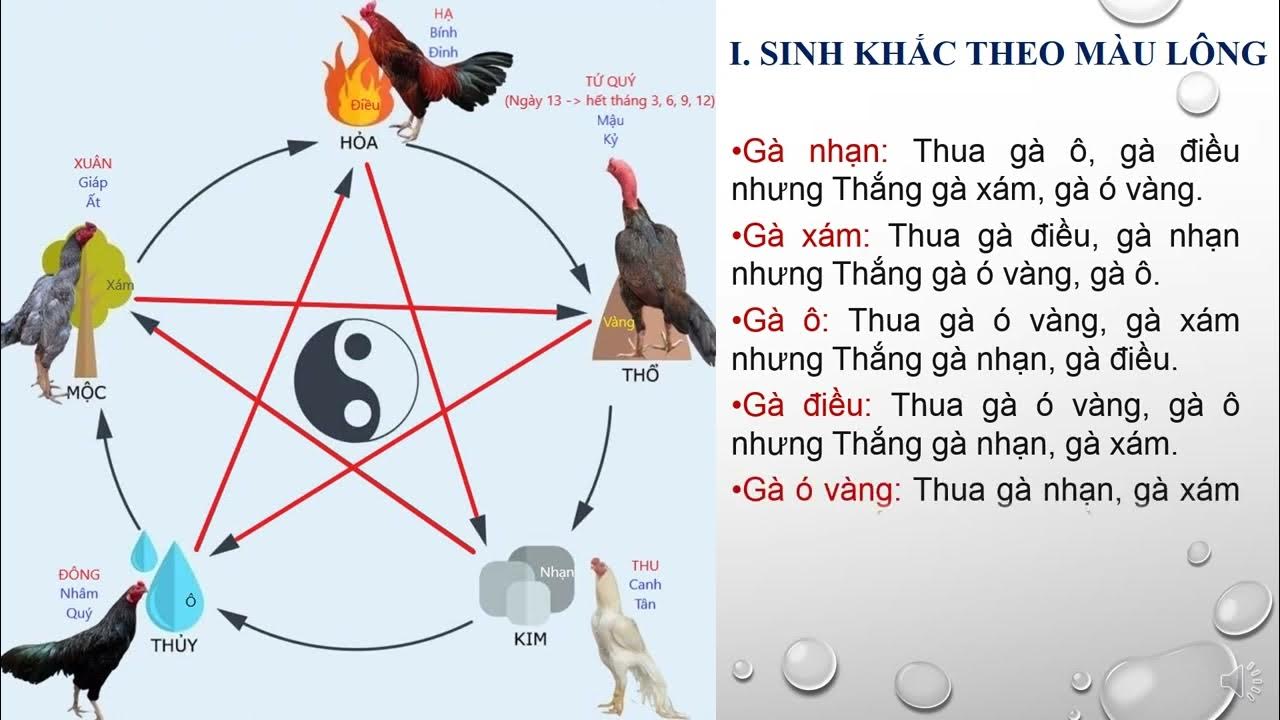 Hướng dẫn chi tiết cách xem màu mạng gà đá theo ngũ hành
