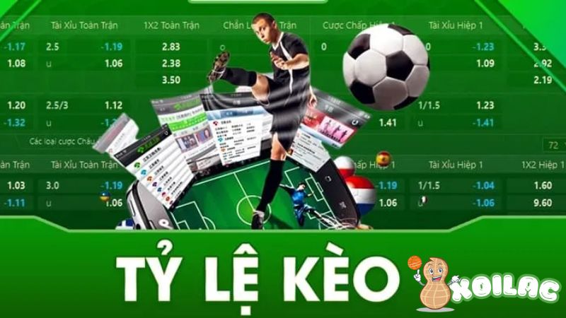 Bảng Tỷ Lệ Kèo Bóng Đá Hôm Nay: Cập Nhật Tỷ Lệ Chính Xác 24/7