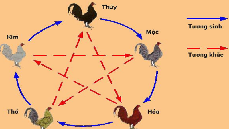 80 Màu Mạng Gà Đá: Cách Chọn Màu Giúp Tăng Tỷ Lệ Chiến Thắng