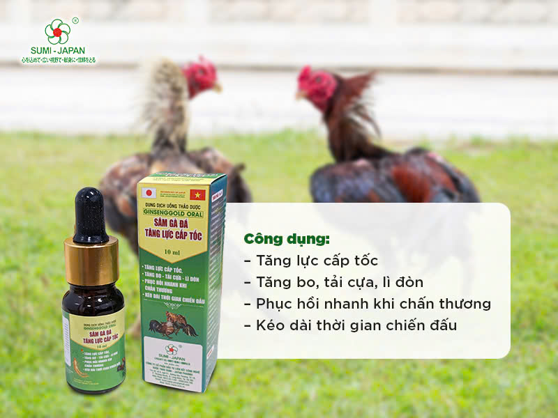Cách chọn thuốc trị tang gà đá phù hợp và an toàn