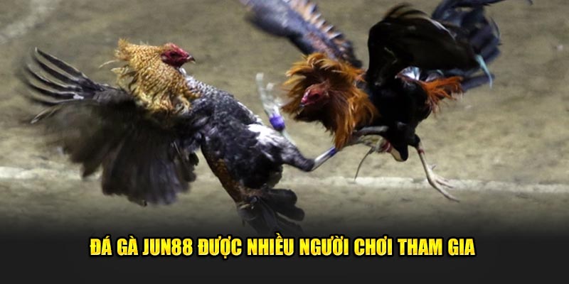 Khám Phá Thế Giới Đá Gà UW88: Cập Nhật Mới Nhất Và Cơ Hội Cược