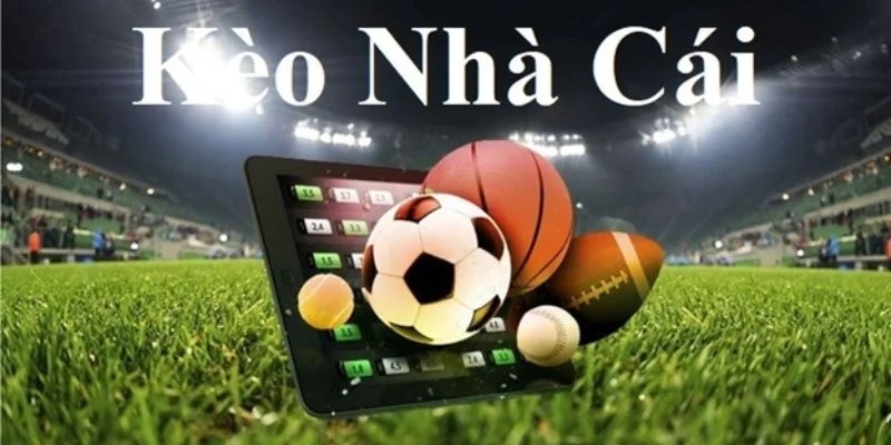 Khám Phá Bóng Bet88: Cách Thức Đặt Cược Và Những Kinh Nghiệm Hấp Dẫn
