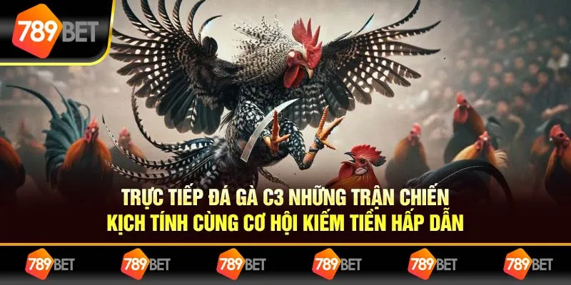 Đá Gà C1: Trận Đấu Kịch Tính & Chiến Thuật Chiến Thắng