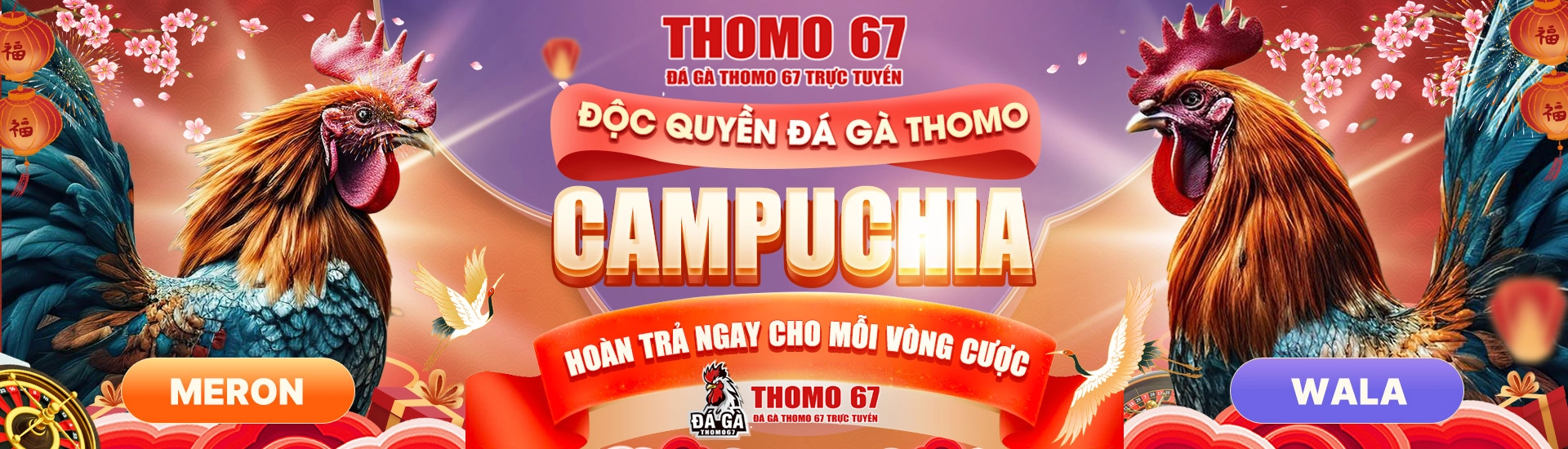 Xem trực tiếp đá gà Thomo 67 chất lượng cao, tốc độ 4K