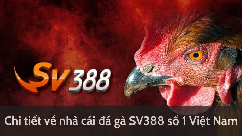 Click ngay tải ứng dụng đá gà SV388 nhận ưu đãi cực khủng liền tay