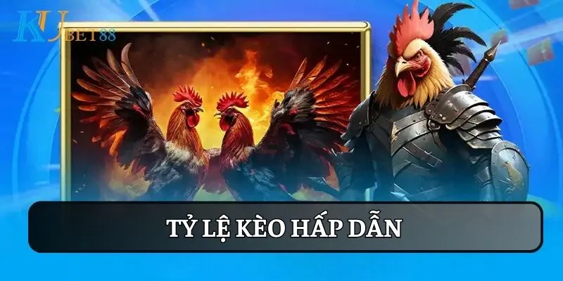 Đá gà đòn trực tiếp hấp dẫn: Tỷ lệ kèo thơm, vào bờ an toàn