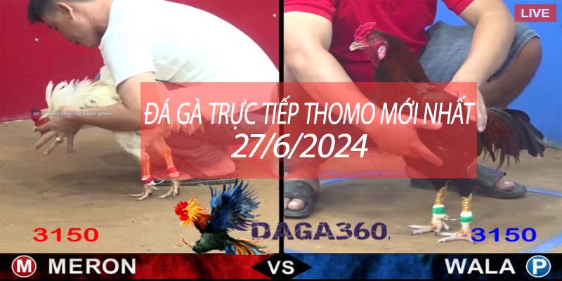 Xem đá gà trực tiếp cpc3 hôm nay - cập nhật nhanh nhất