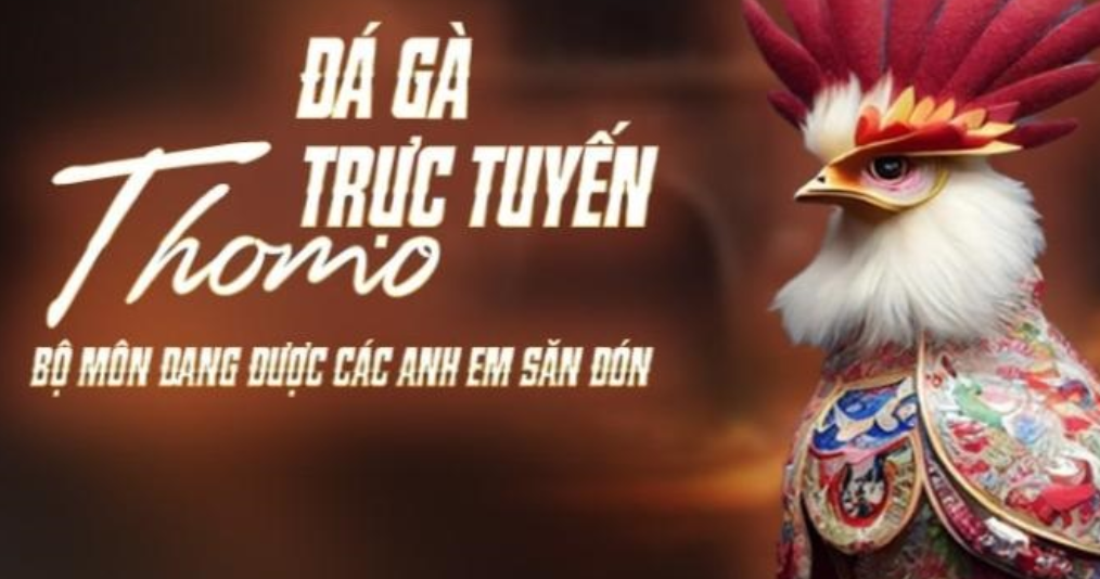 Đá gà C1 casino trực tuyến - Trải nghiệm đỉnh cao giải trí
