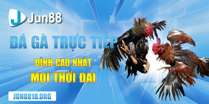 Đá gà Campuchia 2019 trực tiếp, xem ngay những chiến kê đỉnh cao!