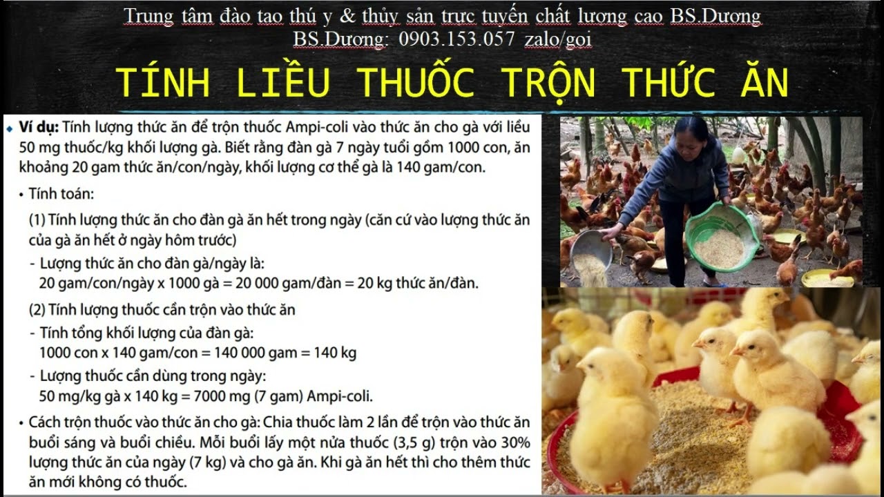 Cho gà đá ăn trùng huyết như thế nào? Liều lượng và cách dùng