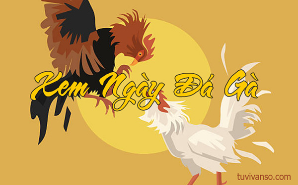 Lịch đá gà ngày 20 tháng 5 chi tiết nhất!