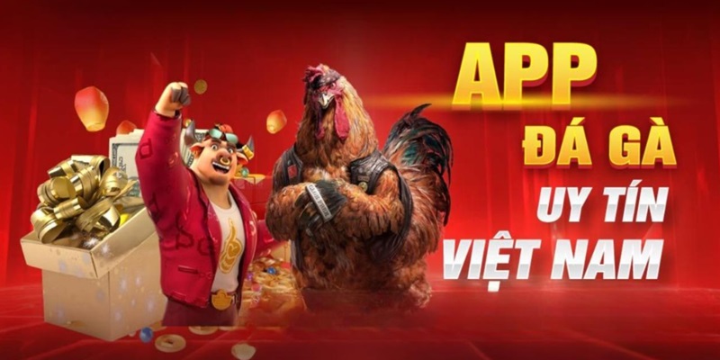 đá gà trực tiếp hôm nay kênh nào phát? Tổng hợp link uy tín!