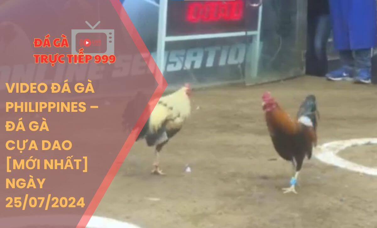 đá gà trực tiếp hôm nay có gì hay? (Lịch thi đấu mới nhất hôm nay)