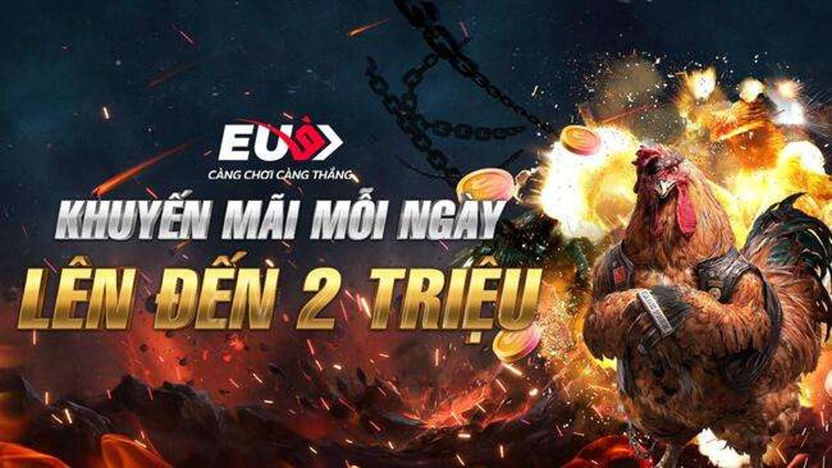 Top nhà cái uy tín nhất để chơi đá gà trên casino hiện nay