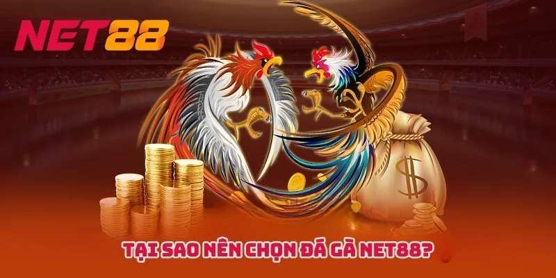 Đá gà Campuchia mới nhất - Cập nhật liên tục 24/7!