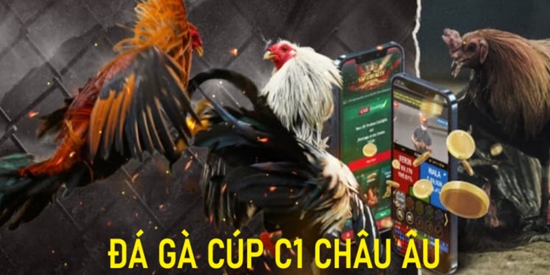 Muốn xem đá gà cúp C1? - Đây là những điều bạn phải nắm rõ