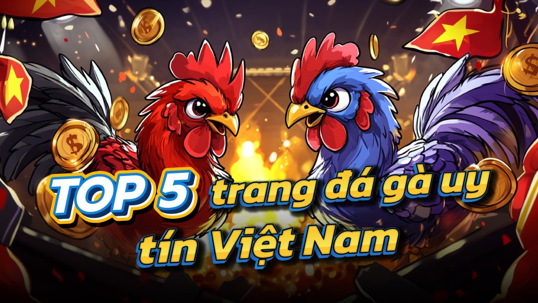 Xem đá gà mạng ở đâu uy tín? Top 5 trang web đá gà trực tiếp chất lượng nhất