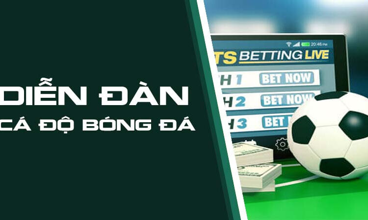 Top Diễn Đàn Cá Độ Bóng Đá Uy Tín Tại Việt Nam Năm 2025