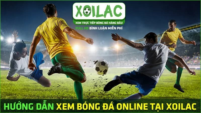 Xem trực tiếp bóng đá kèo nhà cái hôm nay: Tổng hợp link xem bóng đá full HD!
