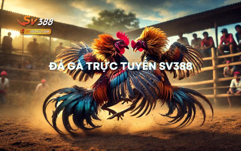 Đá gà trực tiếp 888 có uy tín không? রিভিউ chi tiết nhất cho anh em!