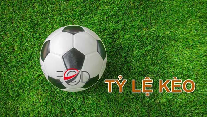 Tìm hiểu về kèo nhà cái sieukeo: Kinh nghiệm cho người mới bắt đầu!