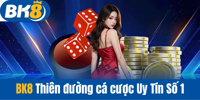 BK8 – Nhà Cái Cá Cược Hàng Đầu Tại Việt Nam