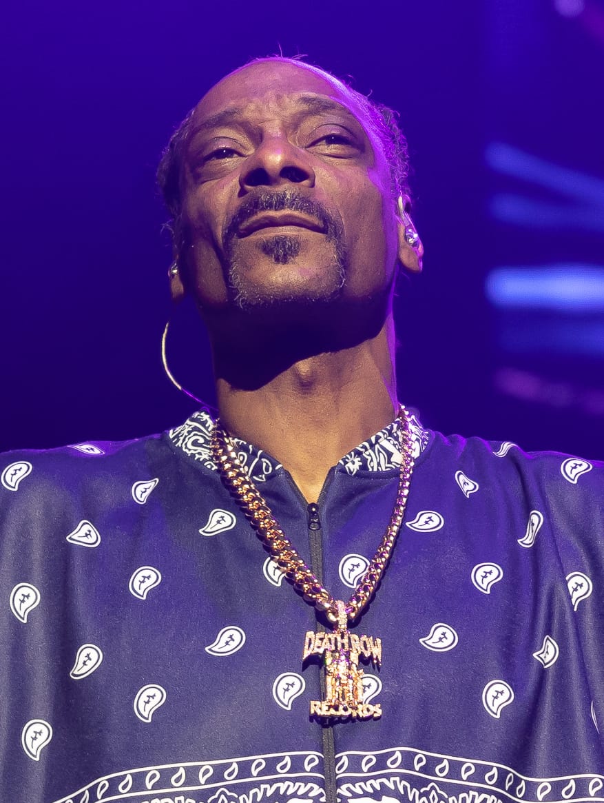snoop dogg net worth revealed his income sources explained