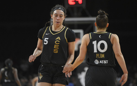 What Stats Tell Us About Las Vegas Aces vs Indiana Fever Game? (Player Breakdown Details Here)