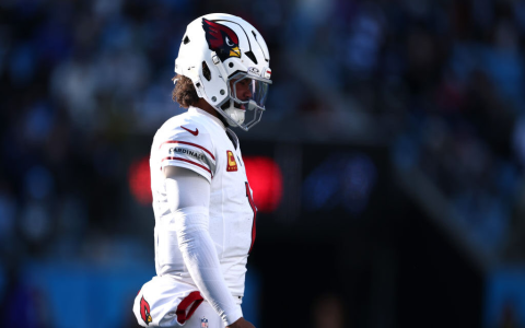 Arizona Cardinals vs Carolina Panthers Fantasy Stars Player Stats Get Top Performers