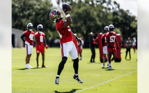 Buccaneers vs Panthers Player Match Stats: Surprising Standouts Revealed