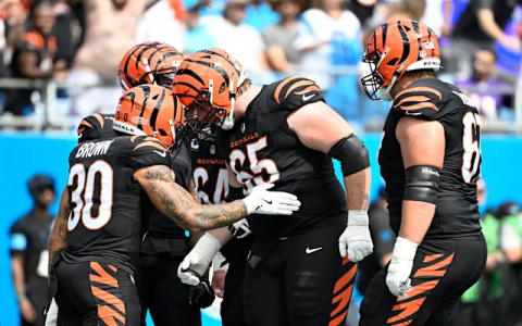 Cincinnati Bengals message boards (top picks for news updates)