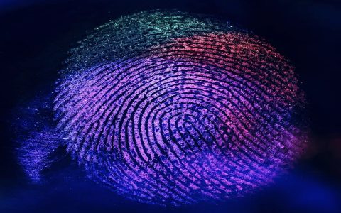 India vs Bangladesh Tickets Online Purchase Safe? Avoid Scams with These Tips