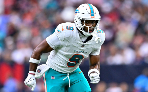 Tennessee Titans vs Texans match player stats: See who performed best with key stats