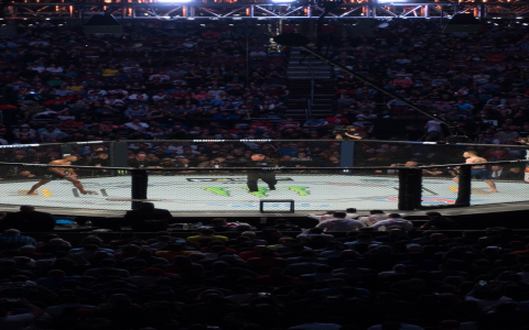Where to Buy Bulls vs Bucks Tickets Best Prices and Easy Booking Tips