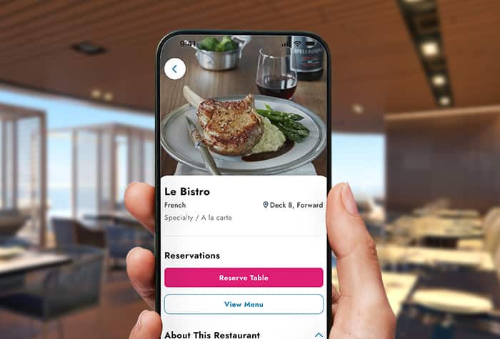 Get NCL Fixtures and Results Track Your Favorite Teams Easily