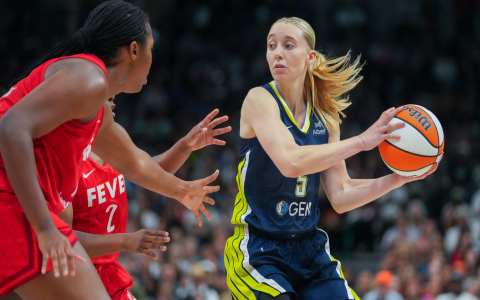 Indiana Fever vs Dallas Wings Match Player Stats Find Impact Players