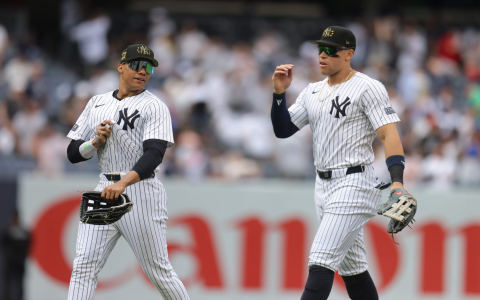 Rays vs Yankees battle player numbers highlight the big game action!