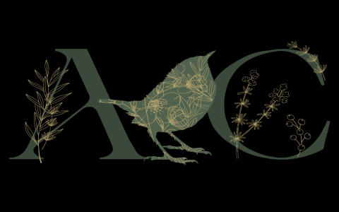 Why Read An Enchantment Of Ravens? 5 Reasons Youll Love This Book