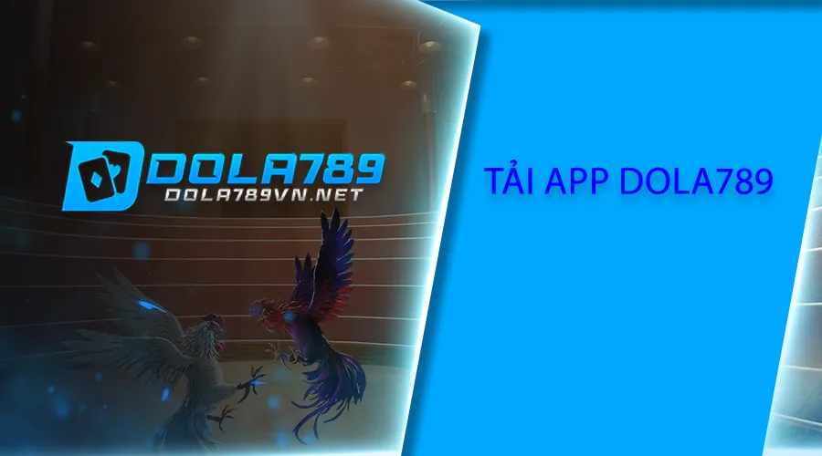 Đá gà trực tiếp Thomo BJ38: Cập nhật trận đấu nóng hổi, thắng lớn ngay!