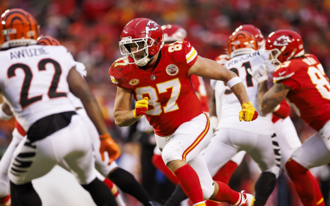 Cincinnati Bengals Message Board Mobile Vs Desktop Which Is Better For Fans