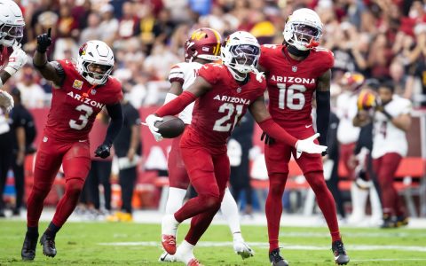 Panthers vs Commanders Player Stats Key Standouts and Leaders Game Analysis