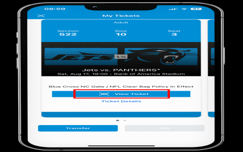 South Star Music Festival ticket guide how to get passes and save money
