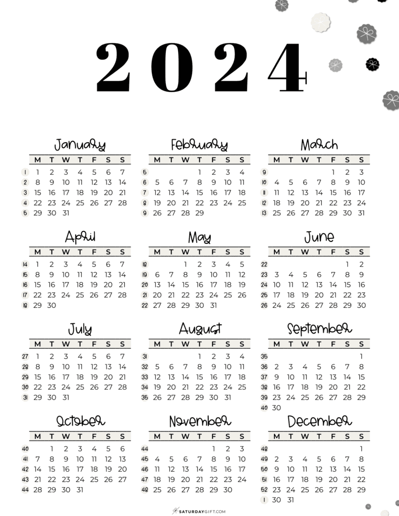 What is Week of the Year 2024 Now? Easy Way to Check Todays Week!