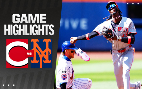 Why NEW YORK CITY Beat Cincinnati Analysis and Game Recap Explained