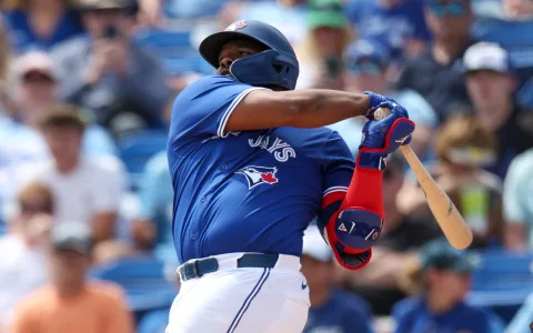 Best mlb bats reviews: Top picks for your game!