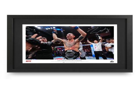 UFC 300 poster for MMA fans? Easy ways to get yours now!