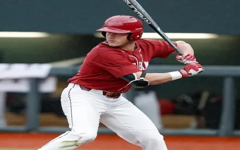 Easy wunderdog mlb setup guide: step-by-step for beginners now!