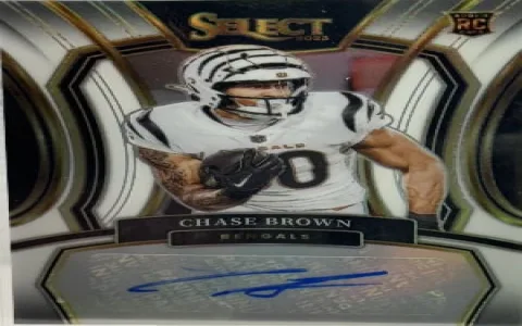 2023 Panini Select NFL Checklist: Learn Where To Buy Missing Cards Now