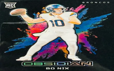 Fix common issues with the 2024 NFL Obsidian Checklist? Easy solutions revealed.